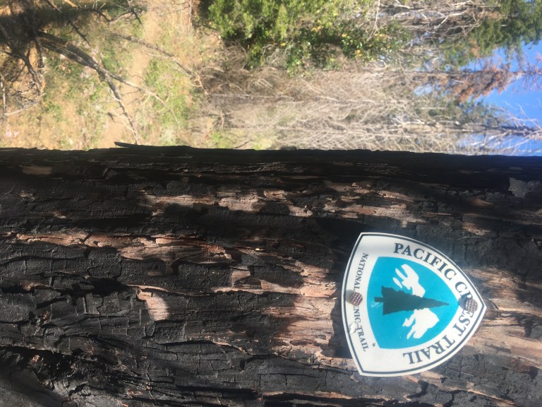 PCT burn sign