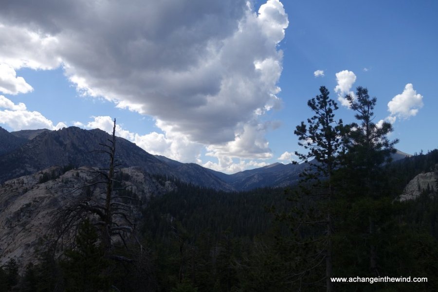 thunderclouds gather over east fork of the Carson River canyon