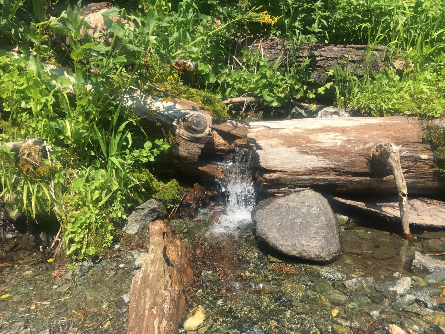 log waterfall IMG_2754